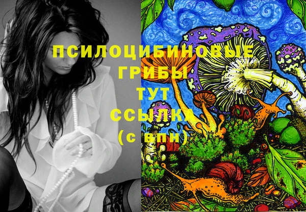 соль ск Ростов