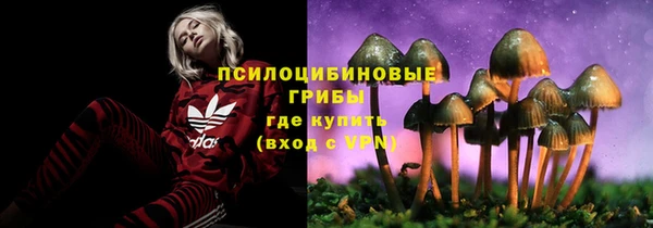 прущая мука Богородск