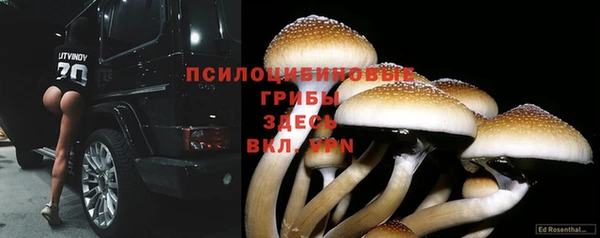 MDMA Богданович