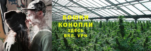 дурь Бородино