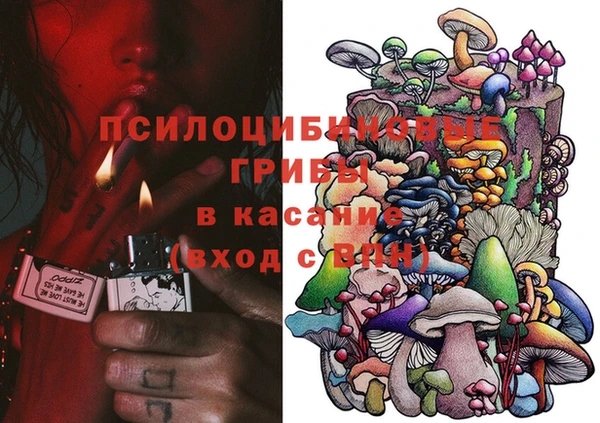 бутират Богородицк