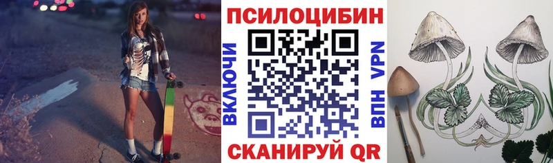 Псилоцибиновые грибы Psilocybine cubensis  Купить где  Пестово 