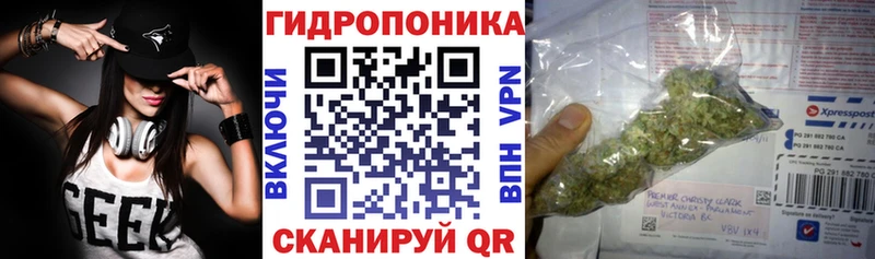 Шишки марихуана VHQ  Купить закладки  Пестово 